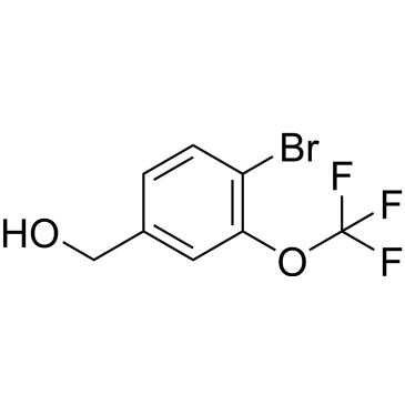 CS-0489637