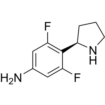 CS-0489817