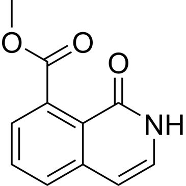 CS-0490607