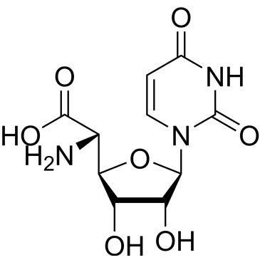 Img