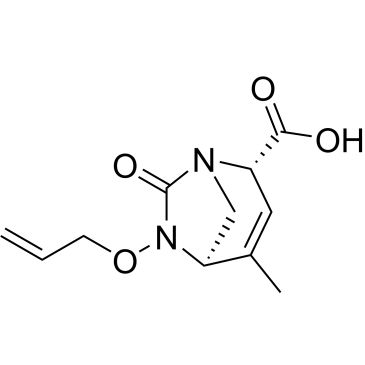 CS-0499790
