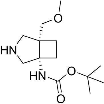 CS-0501257