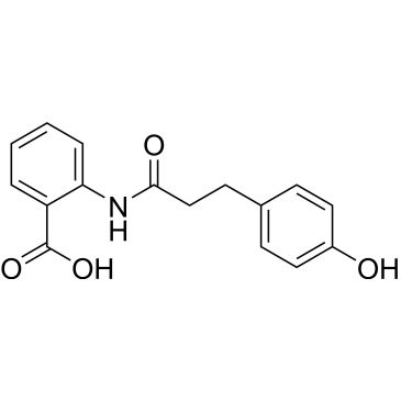 CS-0504253