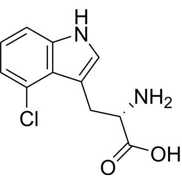 CS-0504807