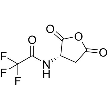 CS-0505216
