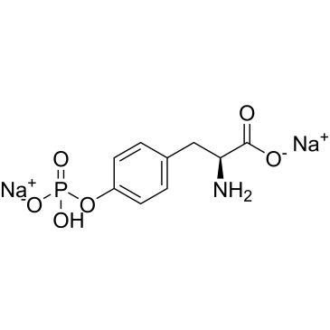 CS-0506131