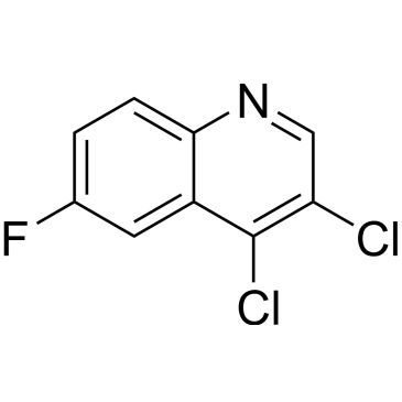 CS-0506460