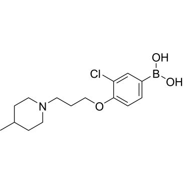 CS-0515725
