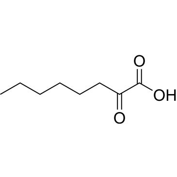 CS-0516450
