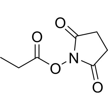 CS-0517314