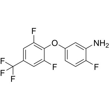 CS-0517983