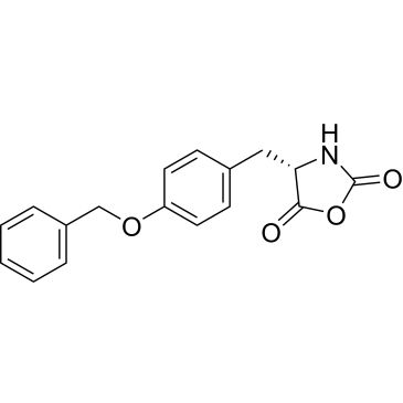 CS-0518419