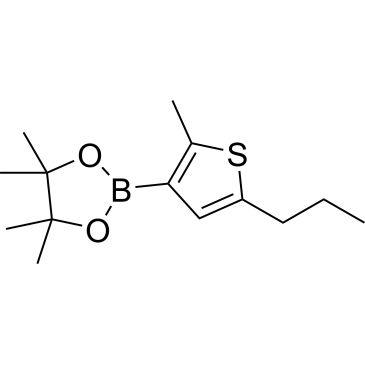 CS-0519465