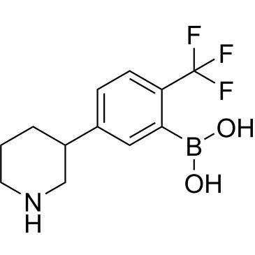 CS-0519701