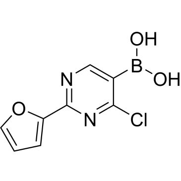 CS-0519829