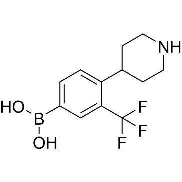 CS-0519897