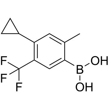 CS-0519968
