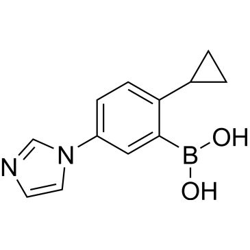 CS-0519975
