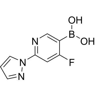 CS-0520313