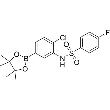 CS-0522137