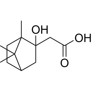 CS-0523529