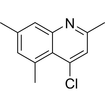 CS-0524613