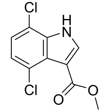 Img