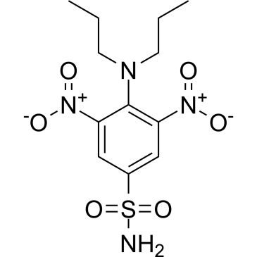 CS-0529024