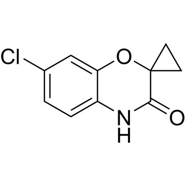 Img