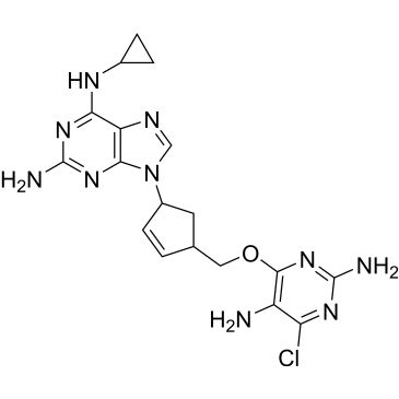 CS-0531351