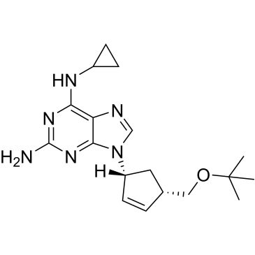 CS-0531359