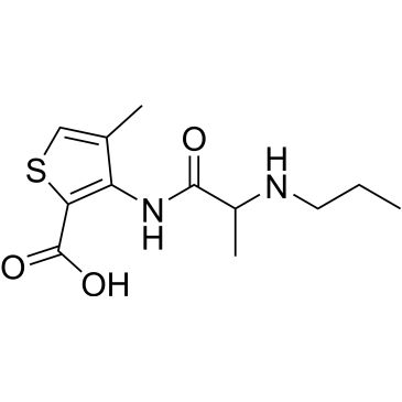 CS-0531434
