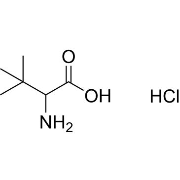CS-0531552