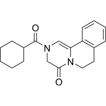 CS-0531624
