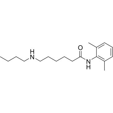 CS-0531686
