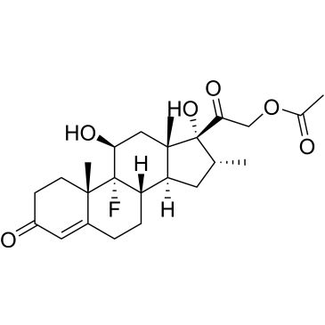 CS-0531719