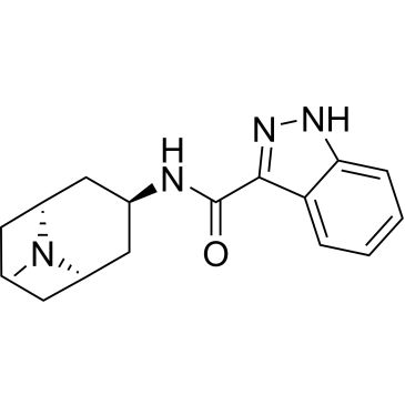CS-0531848