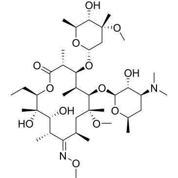 CS-0532384