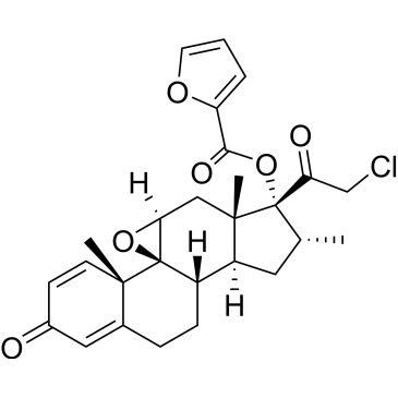 CS-0532664