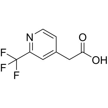 CS-0533069
