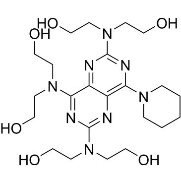 CS-0533208