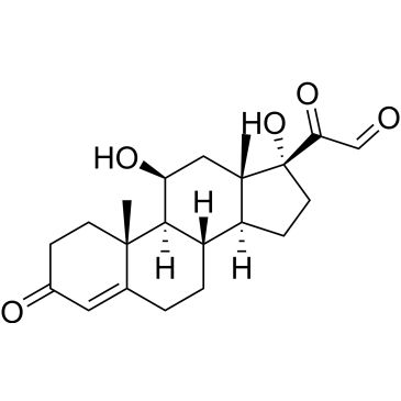 CS-0533237