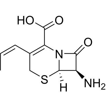CS-0533238