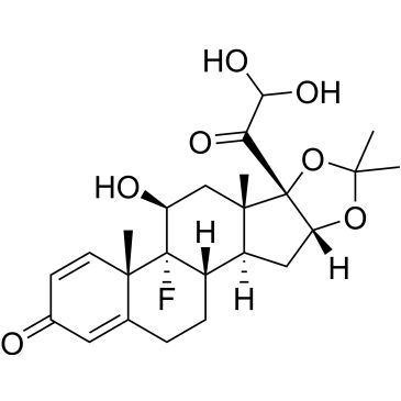 CS-0533249