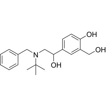 CS-0533254