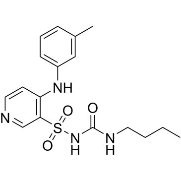 CS-0533293
