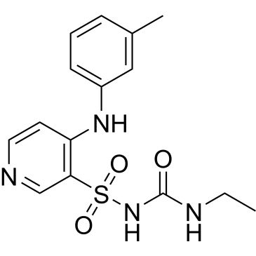 CS-0533295