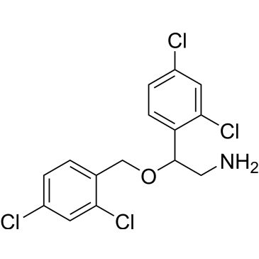 CS-0533355