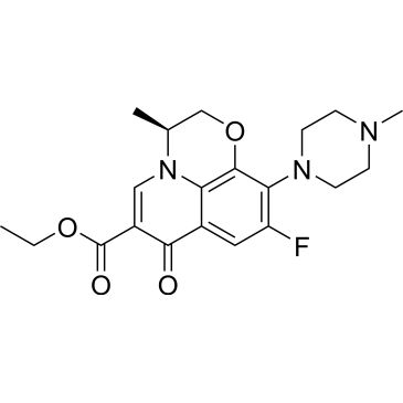 CS-0533531