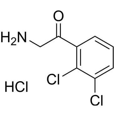 CS-0533652